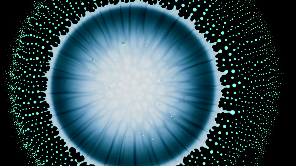 From "Radiolarians" by Roman De Giuli. From "Radiolarians" by Roman De Giuli.