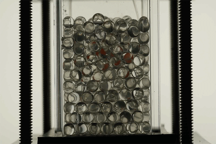 Beads become transparent when immersed in a liquid with a matching index of refraction.