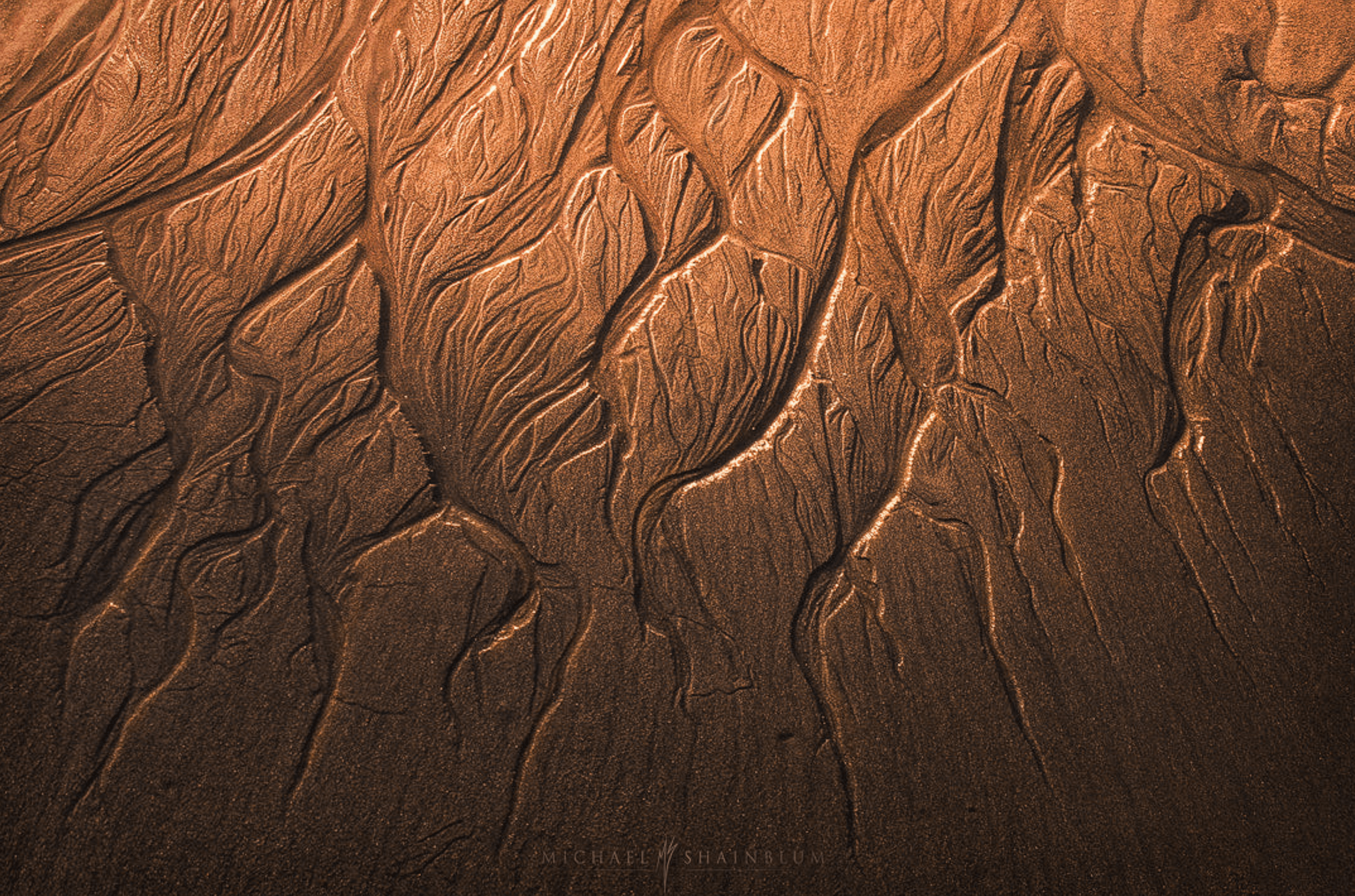 “Ruin of the Tides”