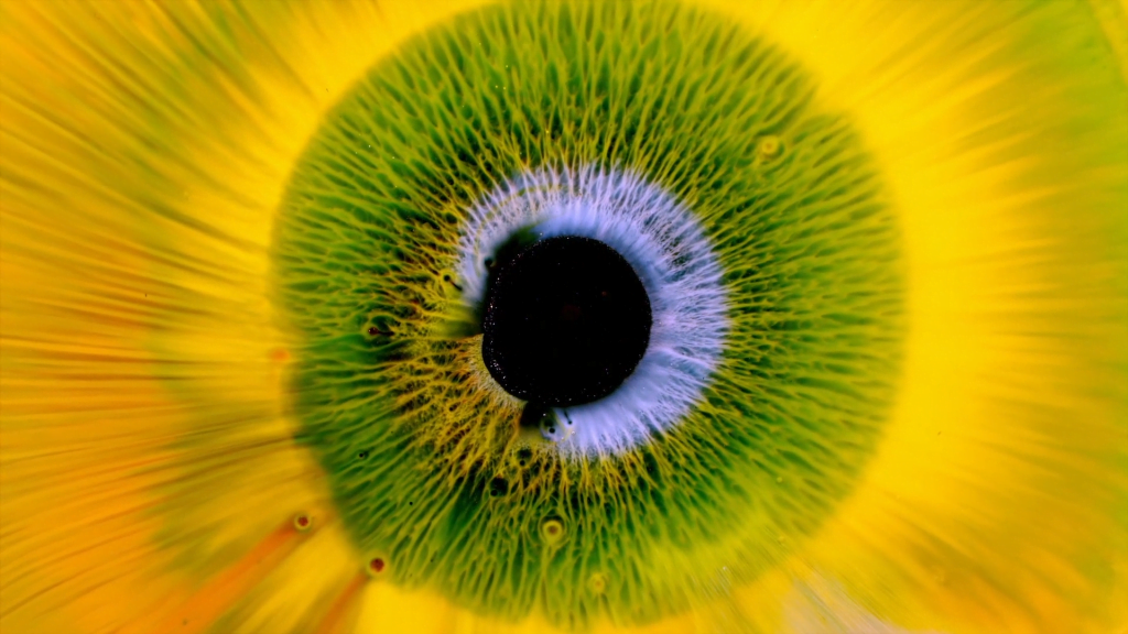 From "Heterochromia Iridum" by Rus Khasanov. From "Heterochromia Iridum" by Rus Khasanov.