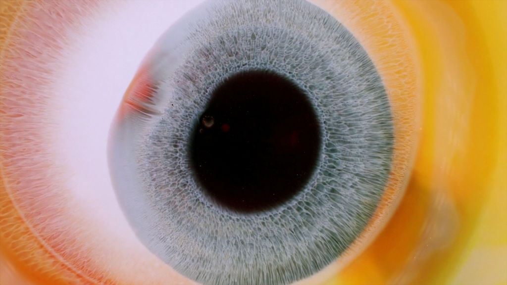 From "Heterochromia Iridum" by Rus Khasanov. From "Heterochromia Iridum" by Rus Khasanov.