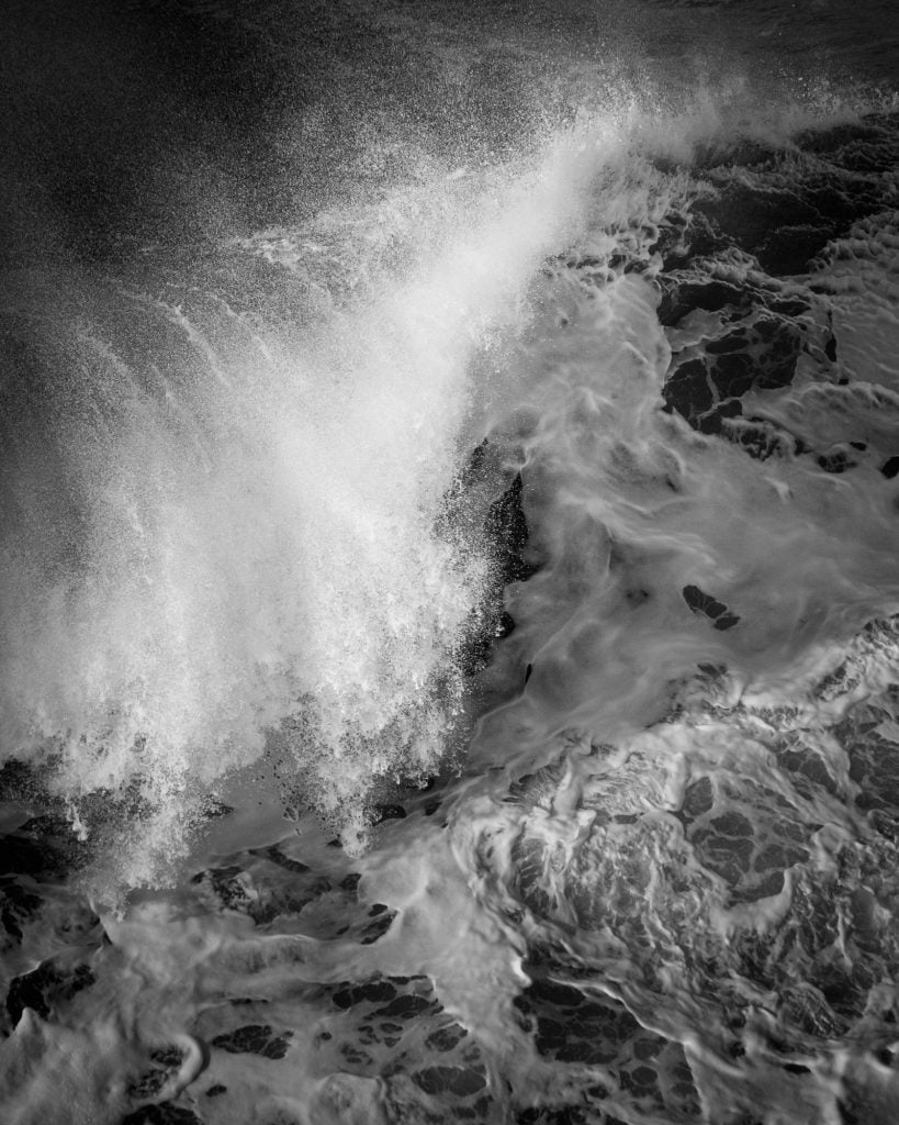 "Fringe II" by Rachael Talibart. "Fringe II" by Rachael Talibart.