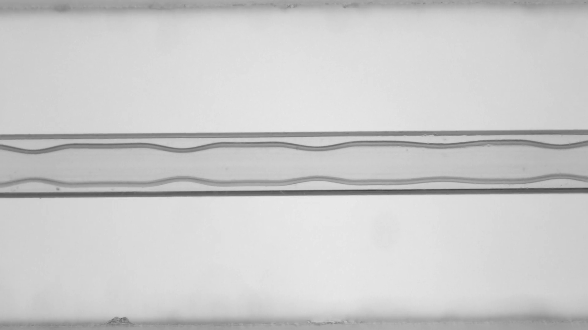 Spin Coating Capillary Tubes