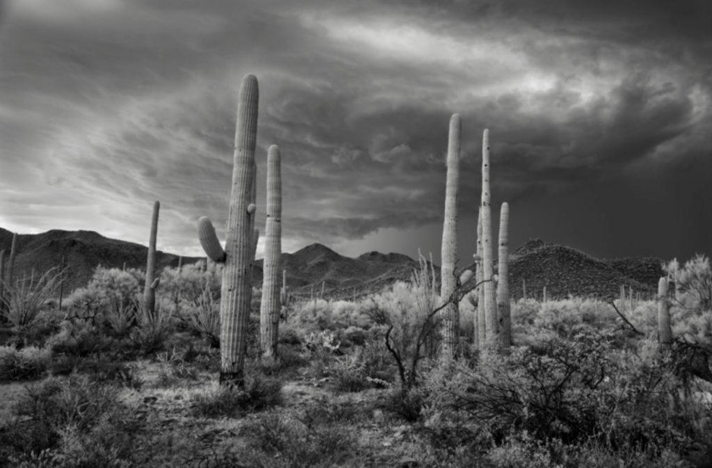 Photograph by Mitch Dobrowner. Photograph by Mitch Dobrowner.