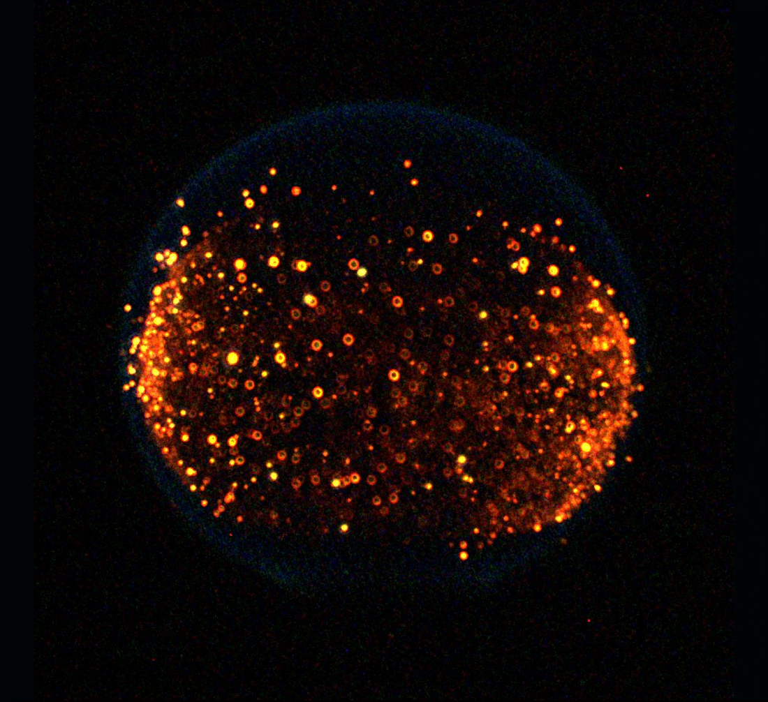 Cleaning Up Combustion