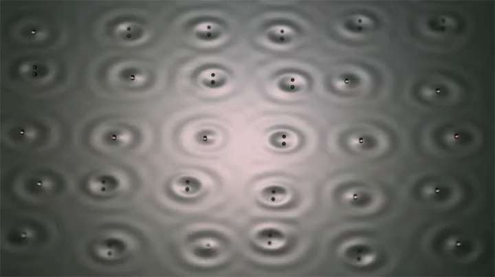 Hydrodynamic Spin Lattices
