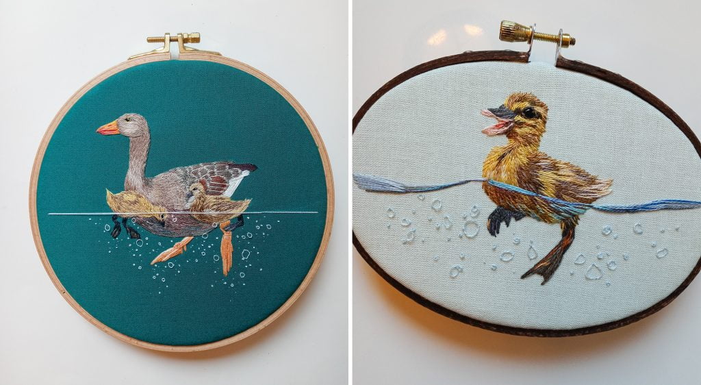 Ducks and ducklings paddle away. Ducks and ducklings paddle away.