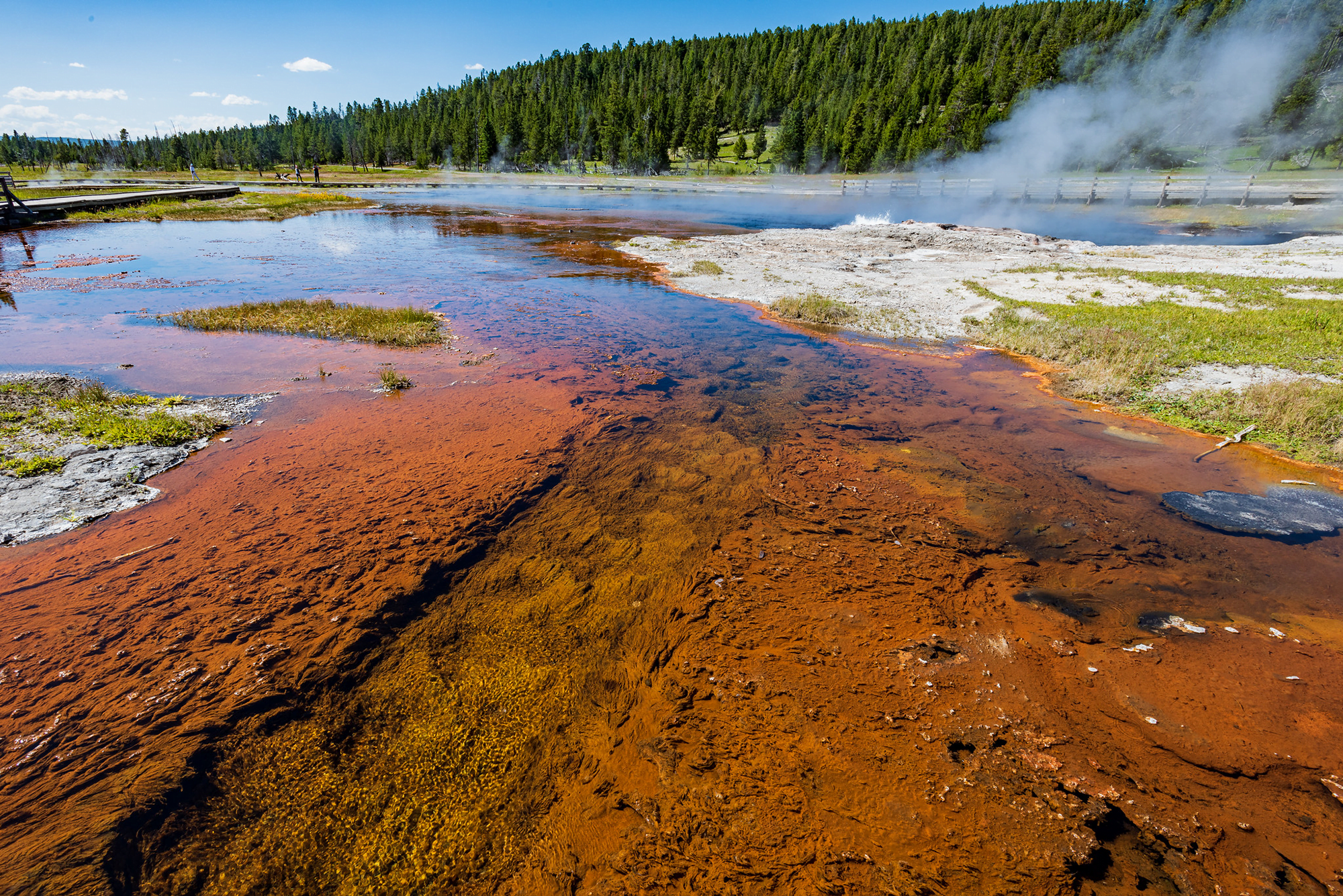 Cyanobacteria like these at Yellowstone National Park were the first photosynthesizers on Earth.