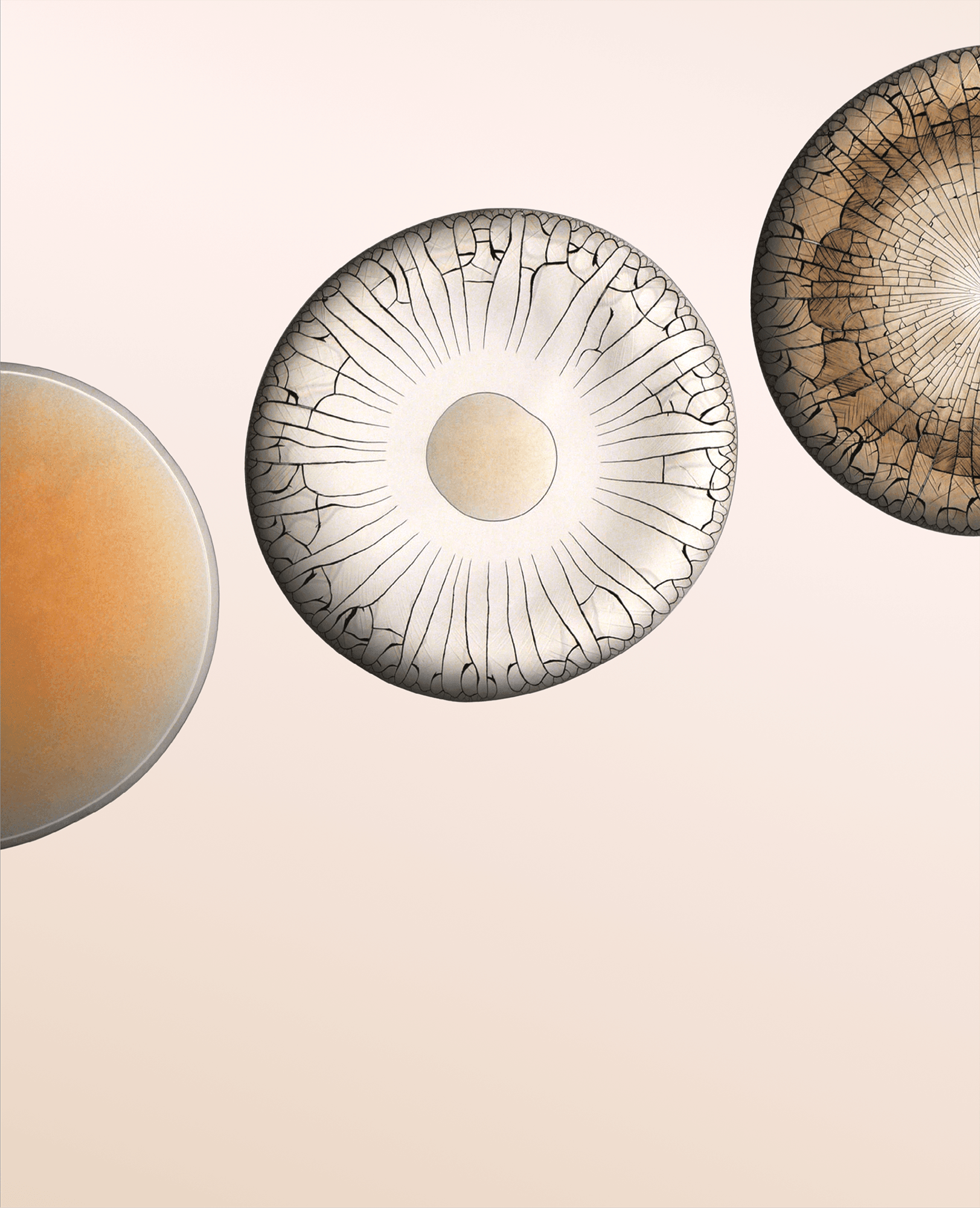 Quick-Drying, Fast-Cracking