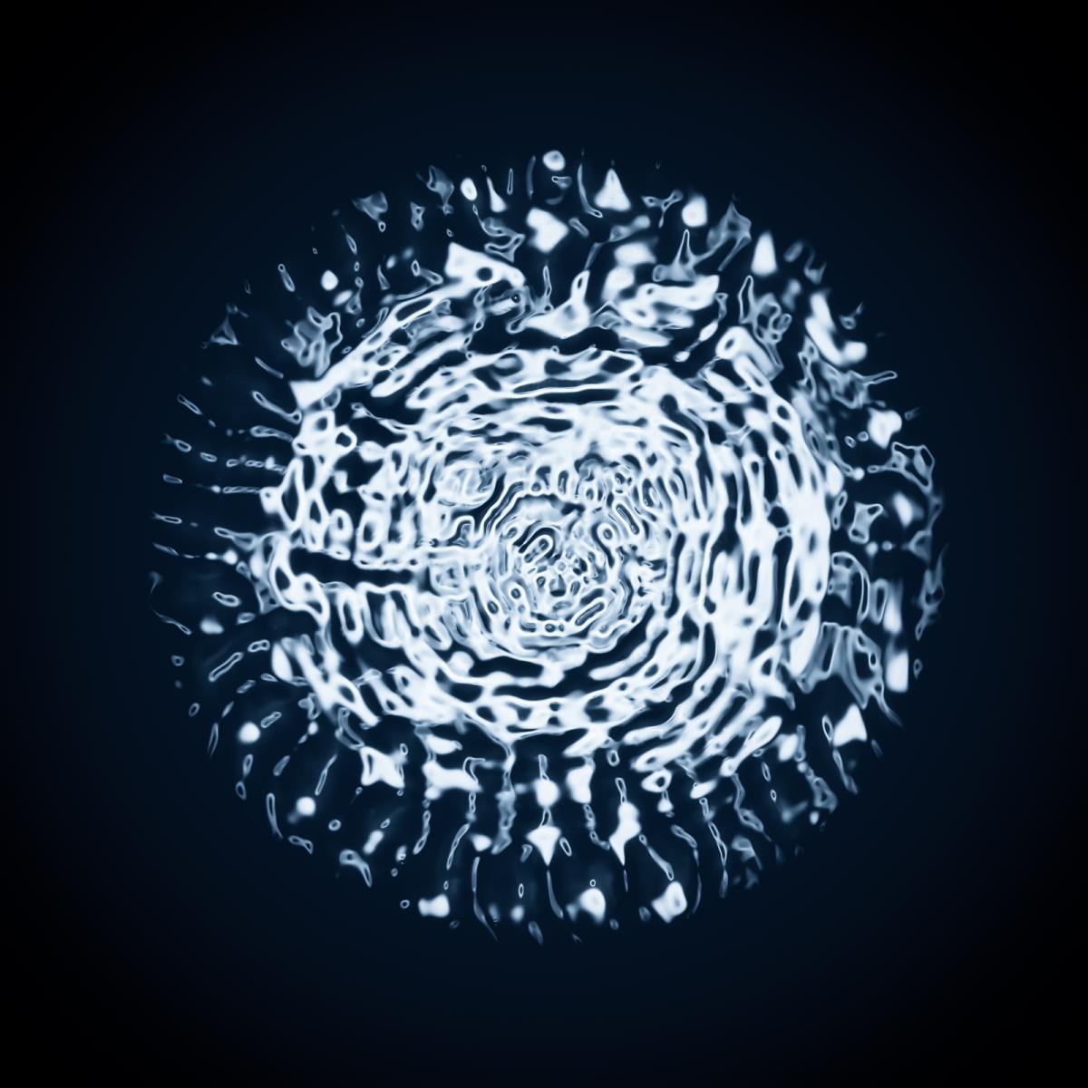 Black Hole Signature