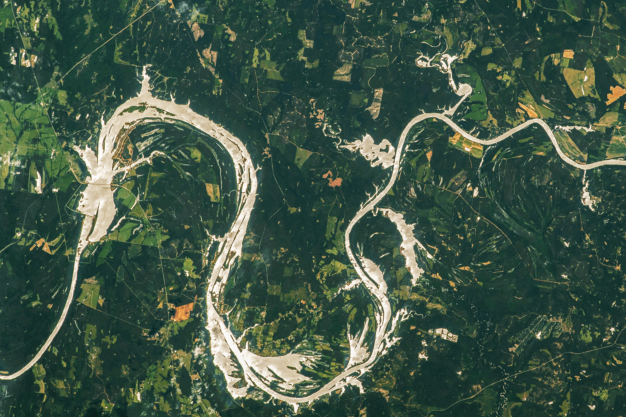Meandering Along the Alabama River