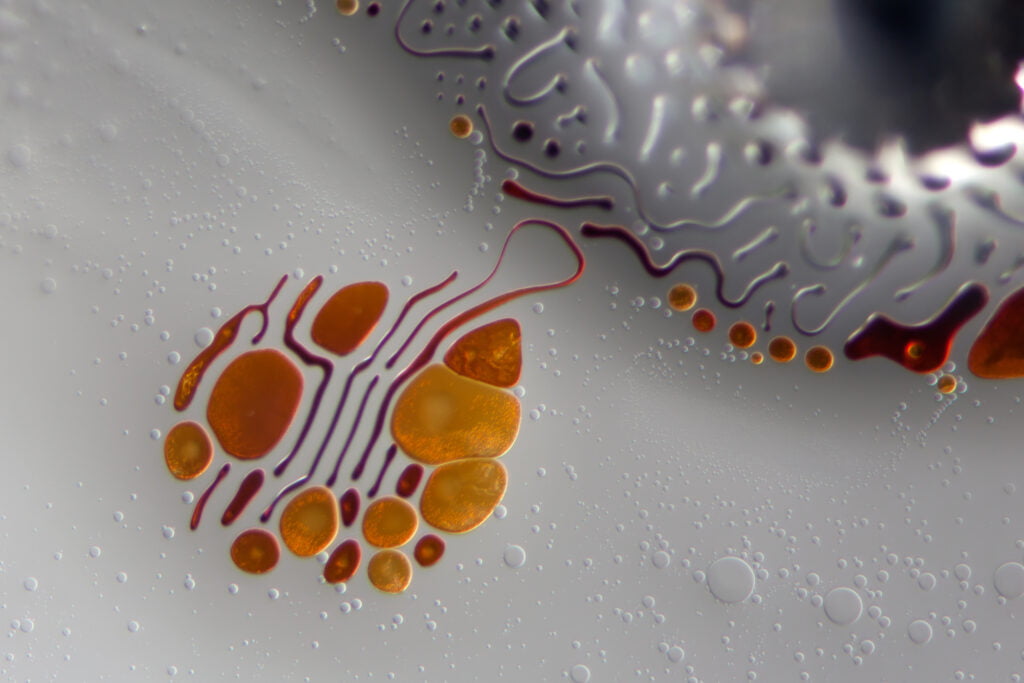 Ferrofluid photograph by Linden Gledhill. Ferrofluid photograph by Linden Gledhill.