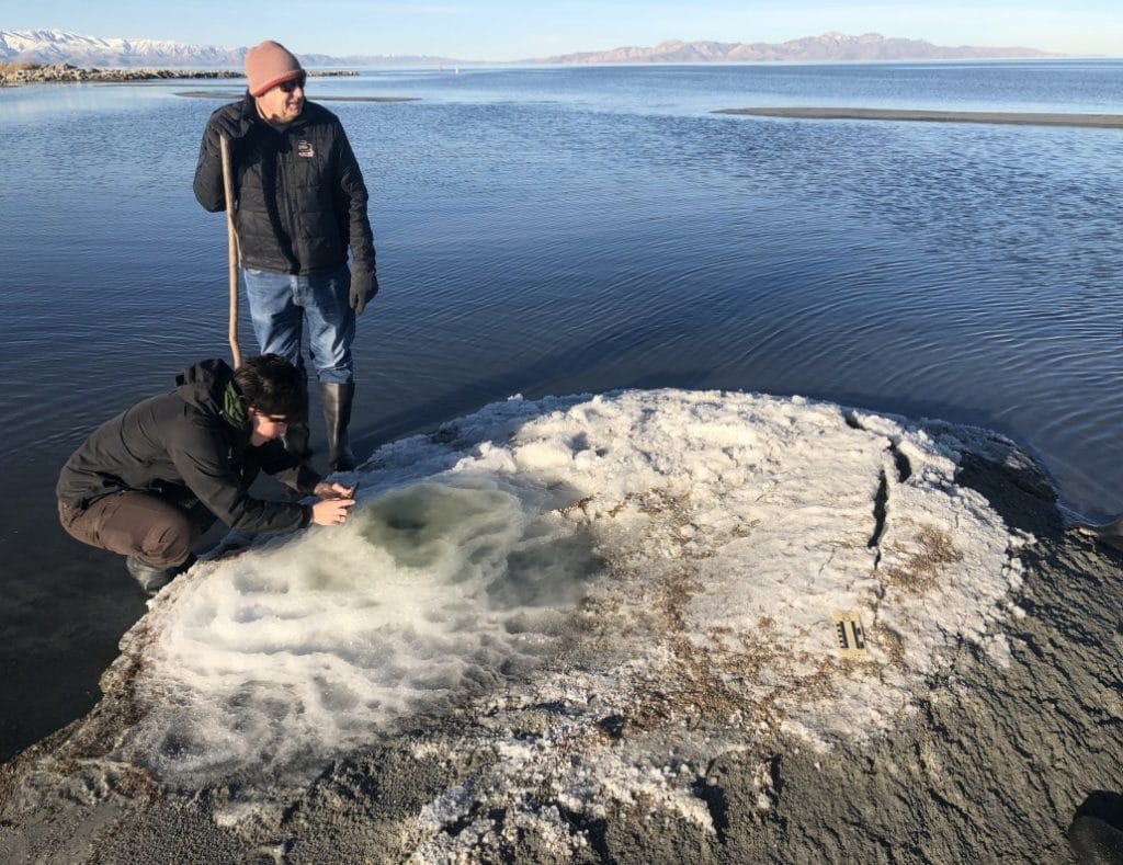 Geologists studying a mirabilite mound.