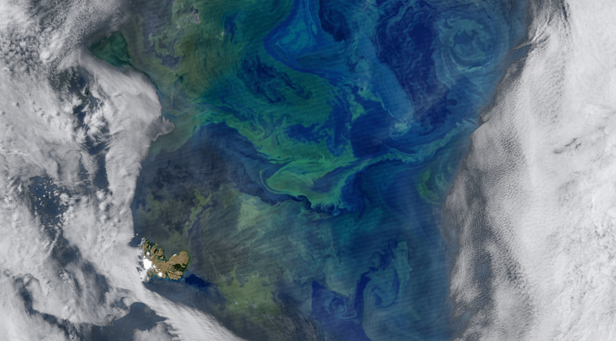 Tracing the Origins of Ocean Waters