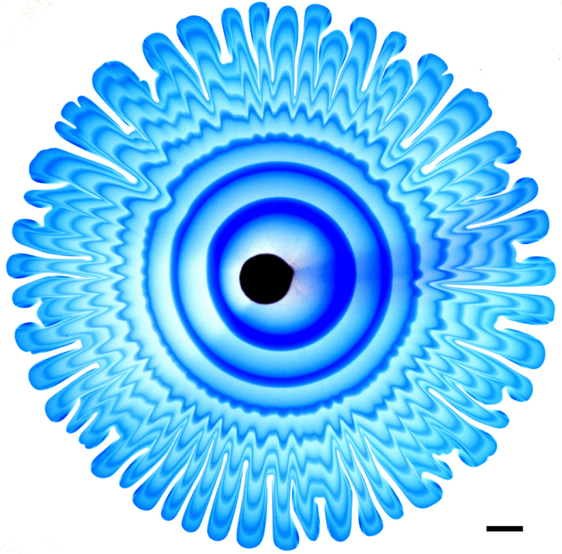 Peering Inside Viscous Fingering