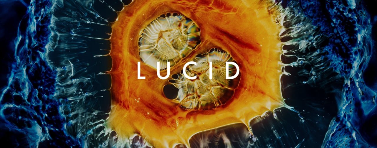 “Lucid” – FYFD