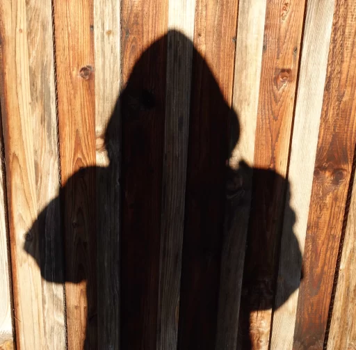 subcormoRant 🏴 :bounceball: