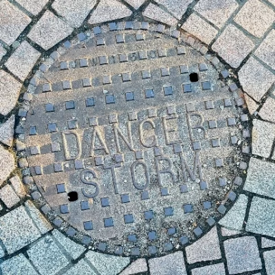 economística Avatar