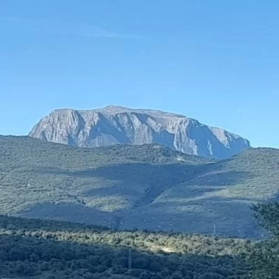 Keiro