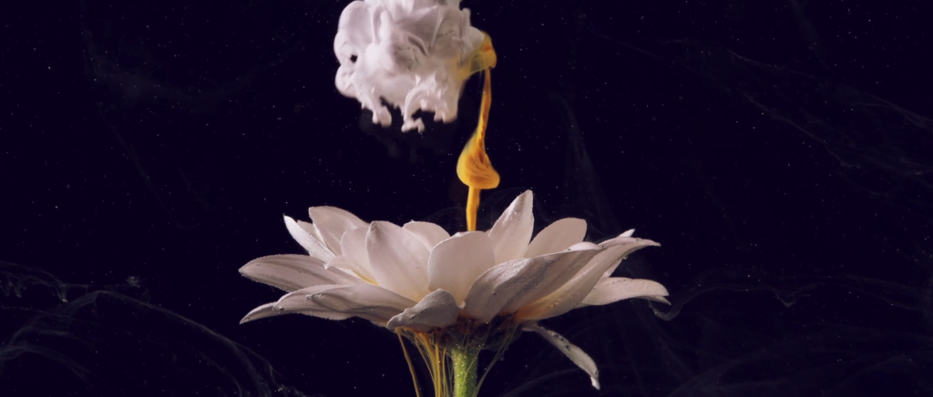 From &quot;Aquakosmos - Ch 2.&quot; by Christopher Dormoy.