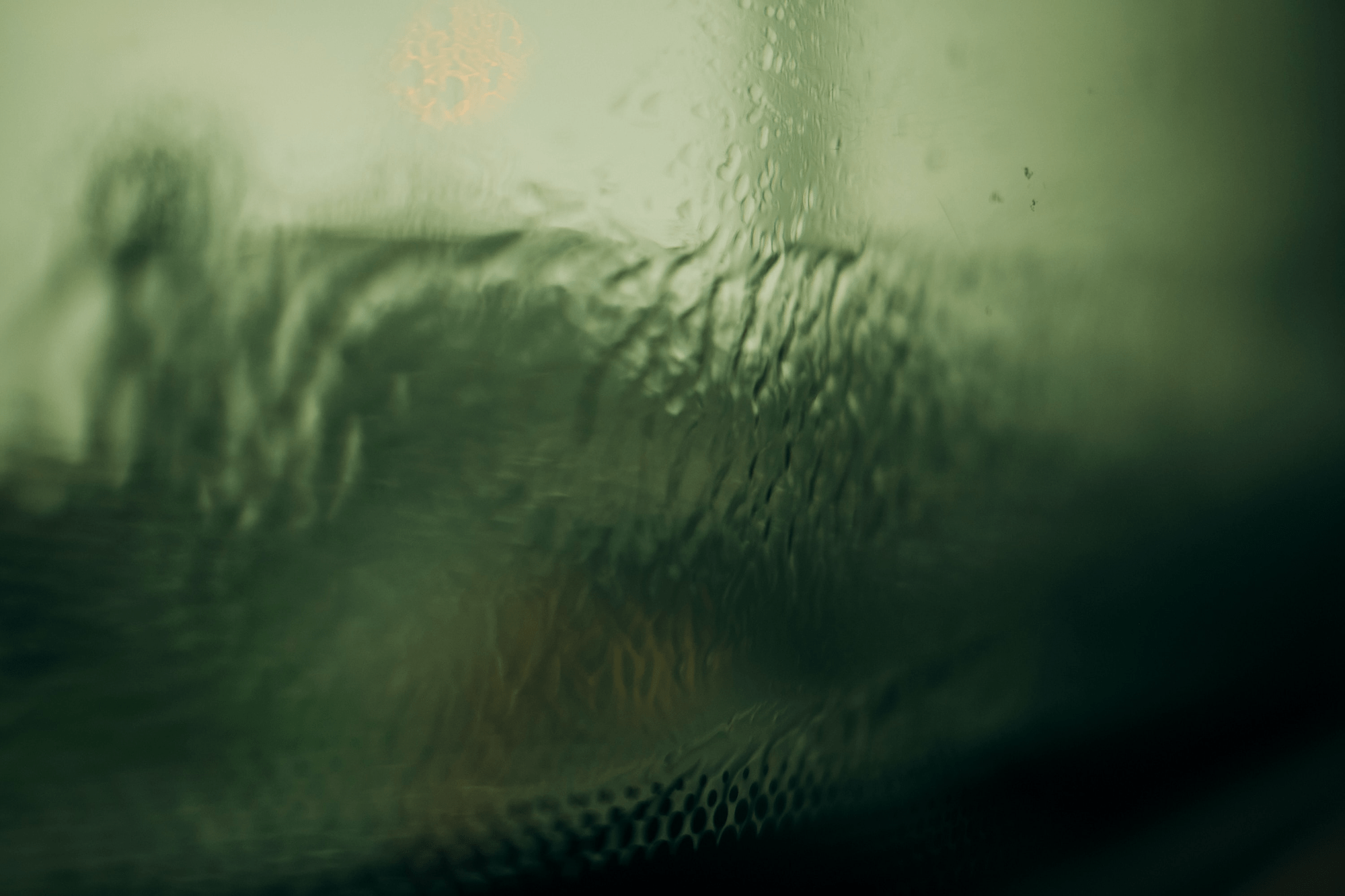 Raindrops on a windshield shiver and slide under the influence of the wind.