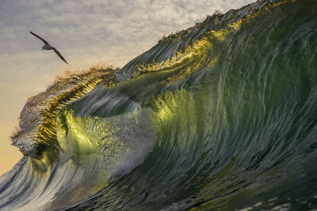 "Aviate" by Terence Pieters. "Aviate" by Terence Pieters.