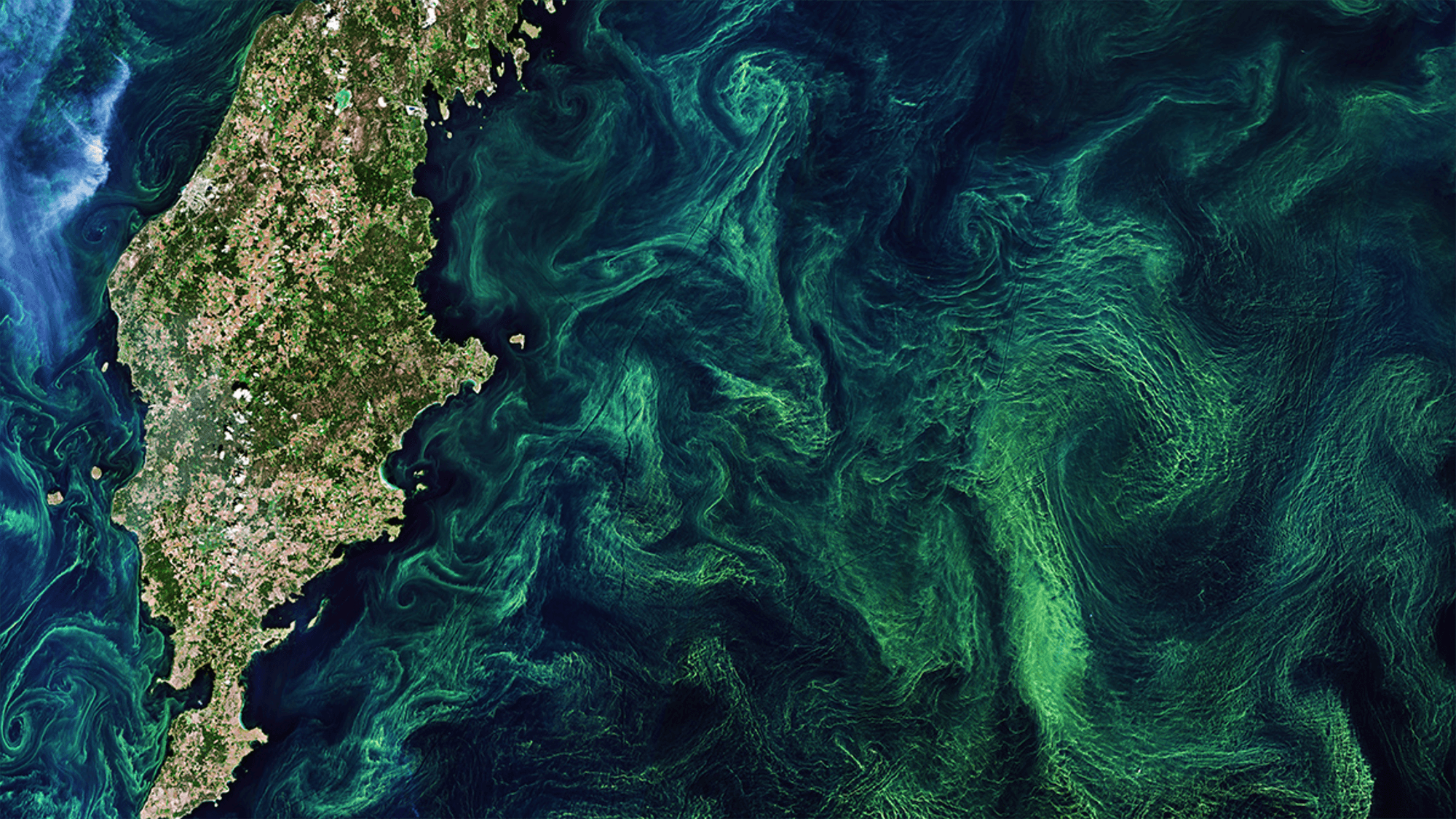 Artificial Reoxygenation