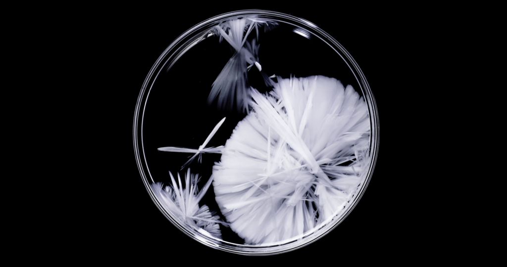 From "Belletrix" by Thomas Blanchard. From "Belletrix" by Thomas Blanchard.