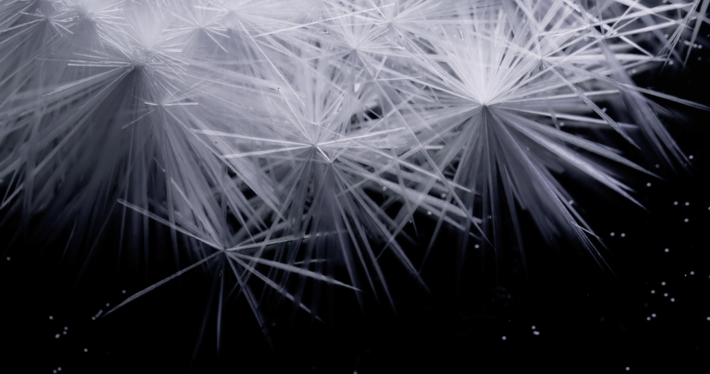 From "Belletrix" by Thomas Blanchard. From "Belletrix" by Thomas Blanchard.