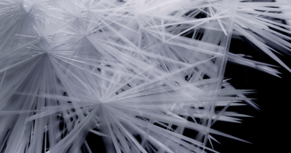 From "Belletrix" by Thomas Blanchard. From "Belletrix" by Thomas Blanchard.