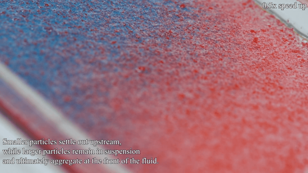 As the mixture flows down an incline, the small blue particles settle out first, leaving the red particles to continue. Text reads, "Smaller particles settle out upstream, while larger particles remain in suspension and ultimately aggregate at the front of the fluid." As the mixture flows down an incline, the small blue particles settle out first, leaving the red particles to continue. Text reads, "Smaller particles settle out upstream, while larger particles remain in suspension and ultimately aggregate at the front of the fluid."