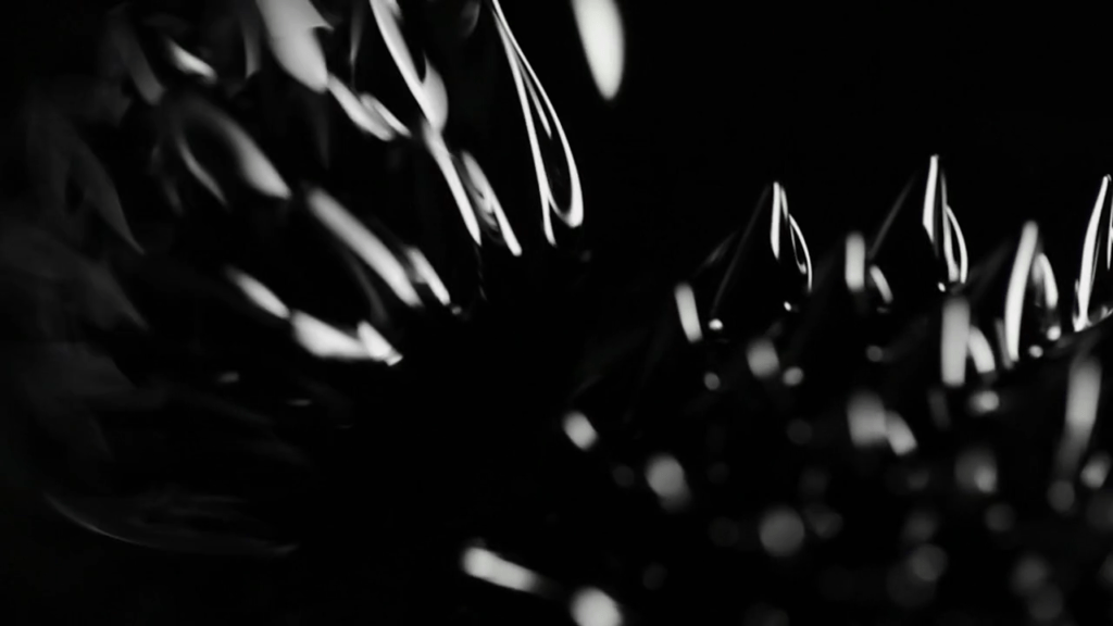 From "Black" by Susi Sie. From "Black" by Susi Sie.