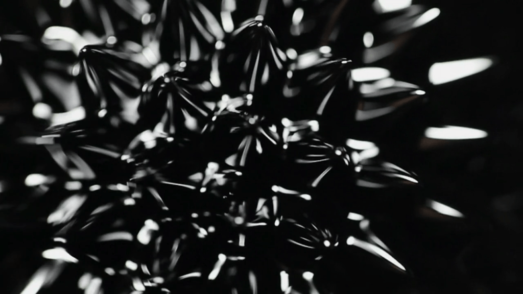 From "Black" by Susi Sie. From "Black" by Susi Sie.