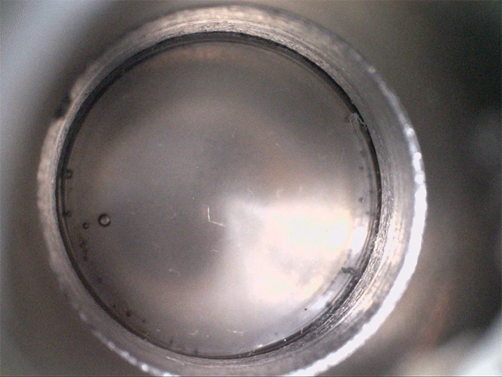 Video of bubbles nucleating when a magma analog supersaturated with CO2 gets sheared.