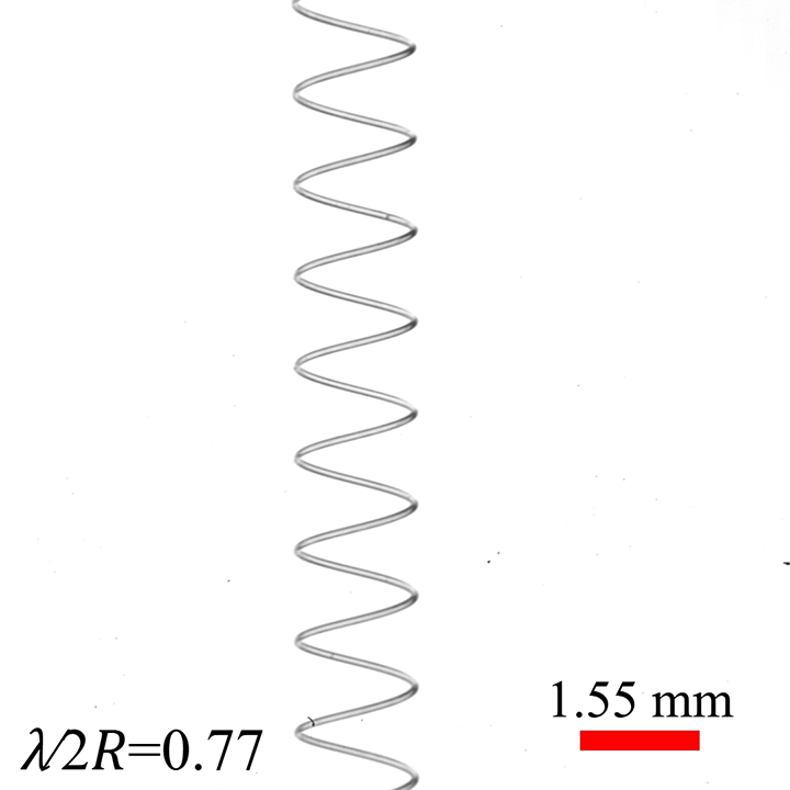 A sphere-shaped droplet slides down a soft spring.