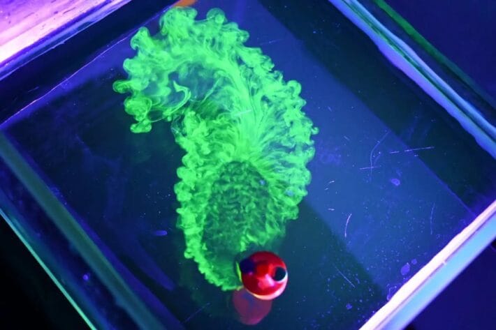 A 3D-printed particle with a supply of fluorescein-dyed ethanol steers its way across a pool.