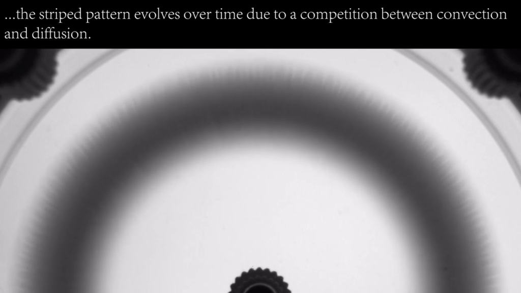 This striped pattern shows up in a chemical reaction due to a competition between convection and diffusion.