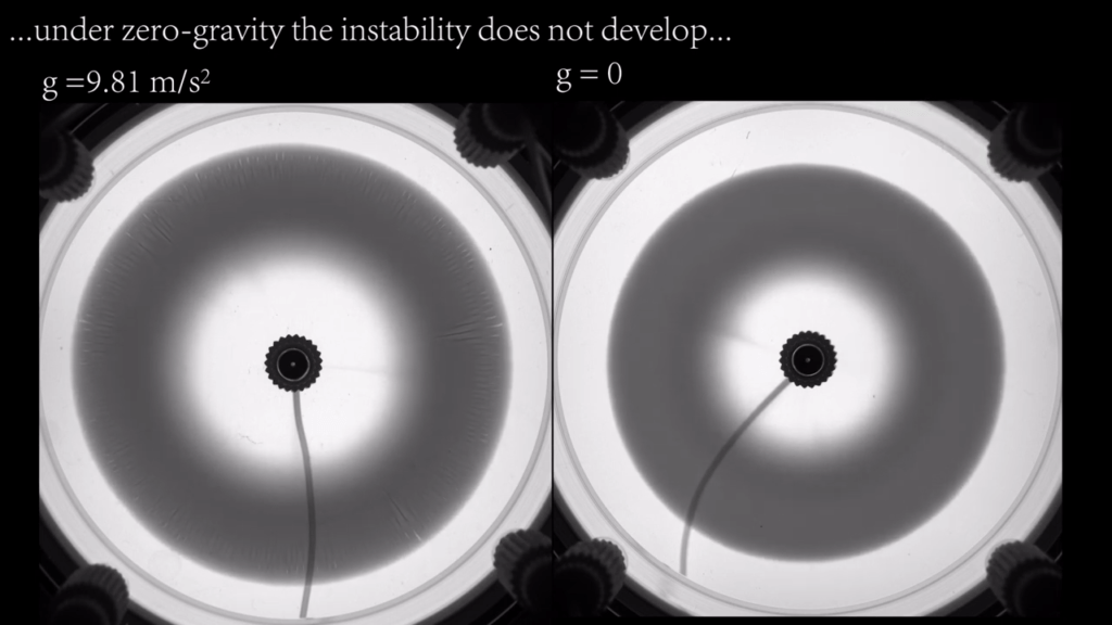 As expected for a convection-dependent phenomenon, the instability does not show up in microgravity.