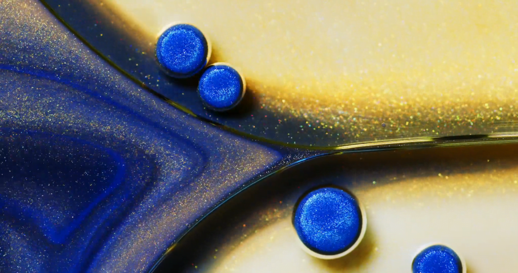 Video by Thomas Blanchard.