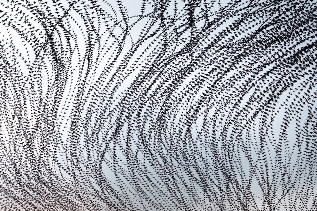 Image by Kathryn Cooper. Image by Kathryn Cooper.