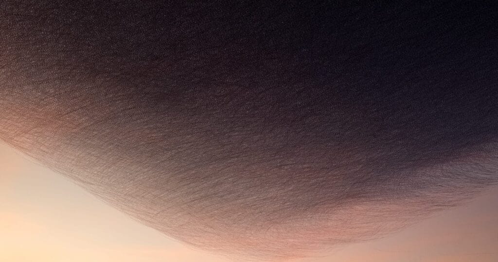 Image by Kathryn Cooper. Image by Kathryn Cooper.