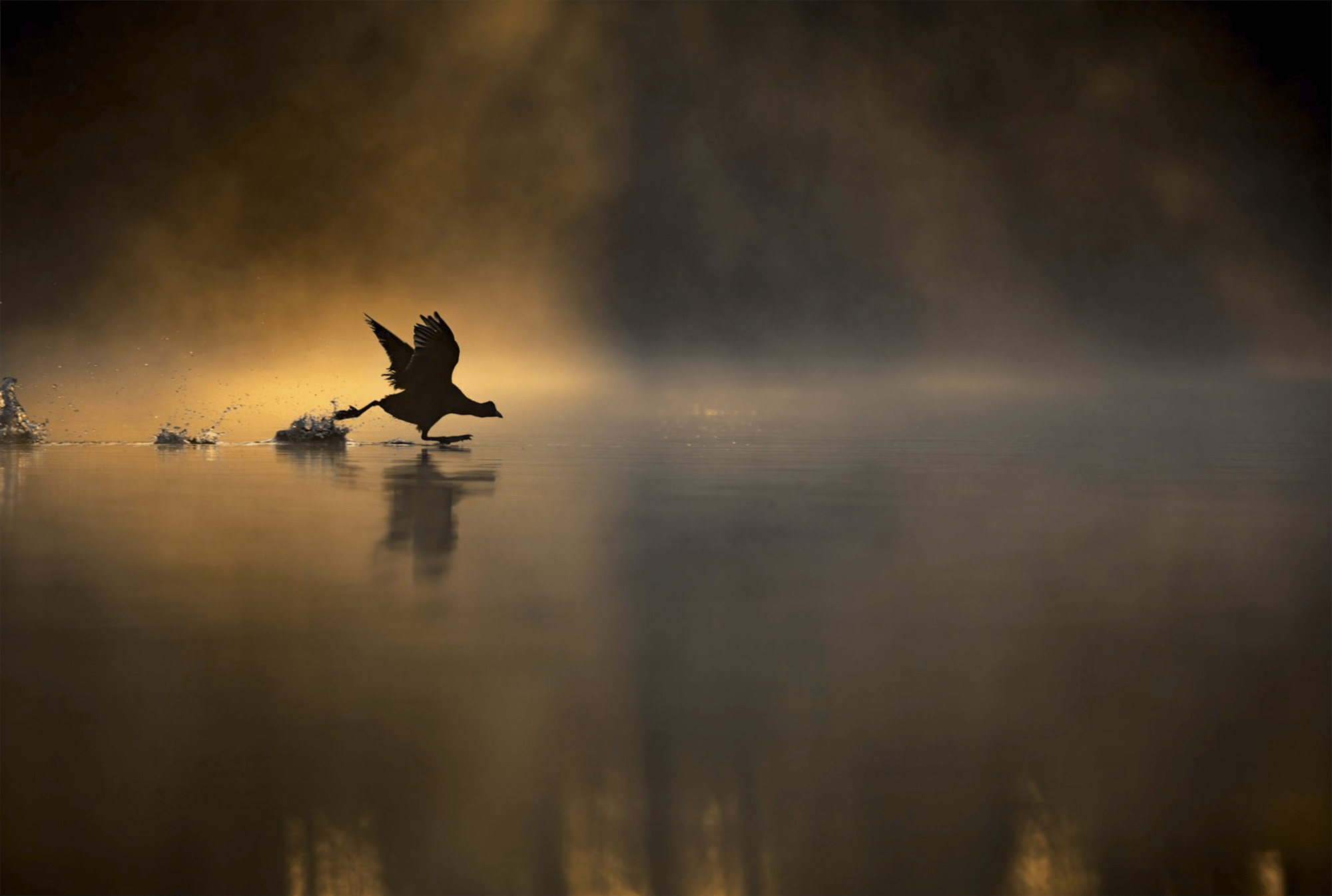 “Running on Water”