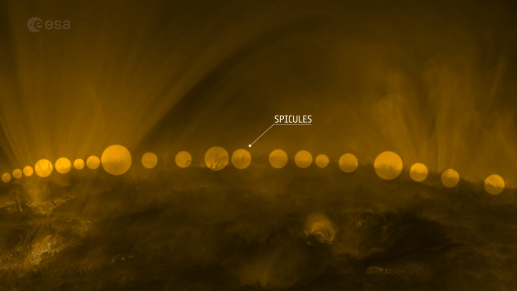 Spicules, spires of gas, reaching upward. Spicules, spires of gas, reaching upward.