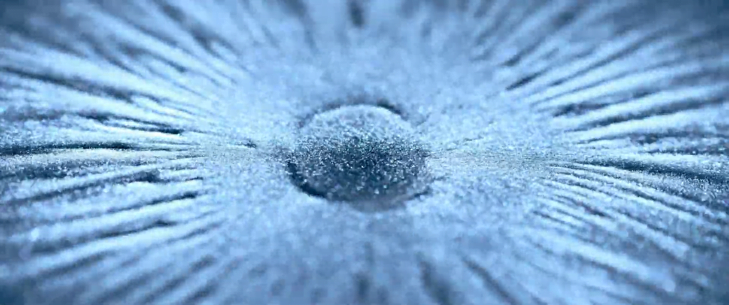 From "Creation" by Vadim Sherbakov. From "Creation" by Vadim Sherbakov.