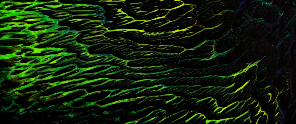 From "Creation" by Vadim Sherbakov. From "Creation" by Vadim Sherbakov.