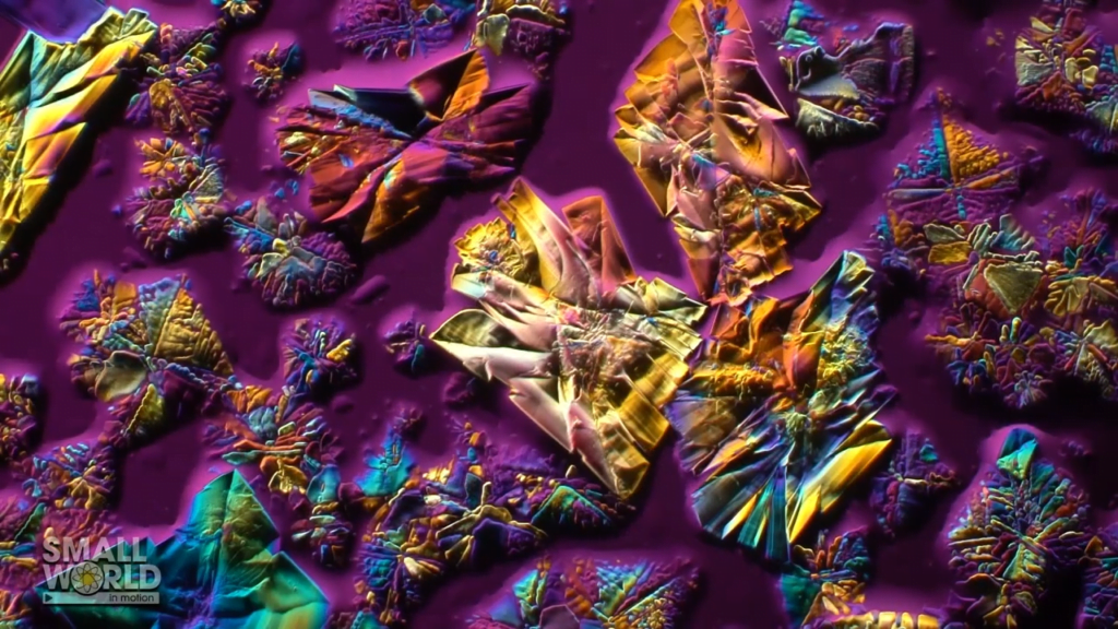 "Crystallizing Epsom salts" by Karl Gaff.