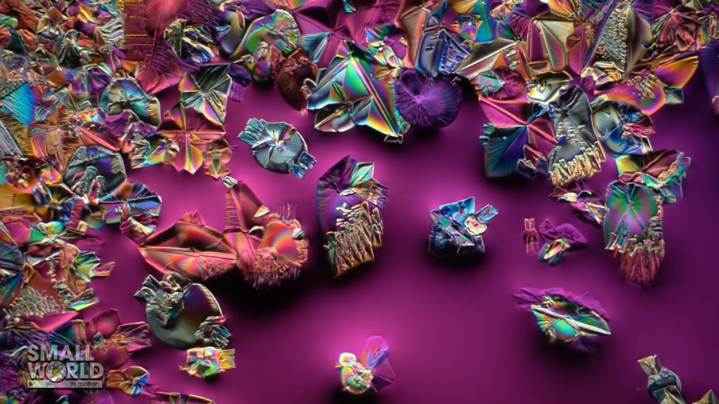 "Crystallizing Epsom salts" by Karl Gaff.