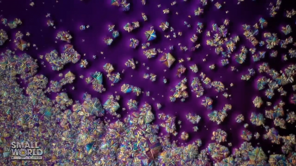 "Crystallizing Epsom salts" by Karl Gaff.