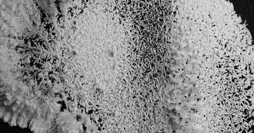 Image from &quot;C R Y S T A L S&quot; by Thomas Blanchard.