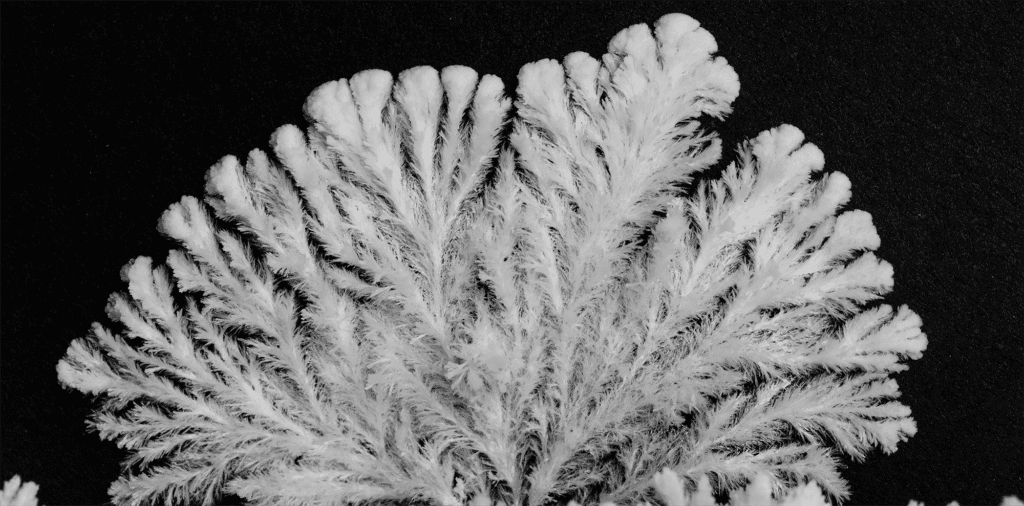 Image from &quot;C R Y S T A L S&quot; by Thomas Blanchard.